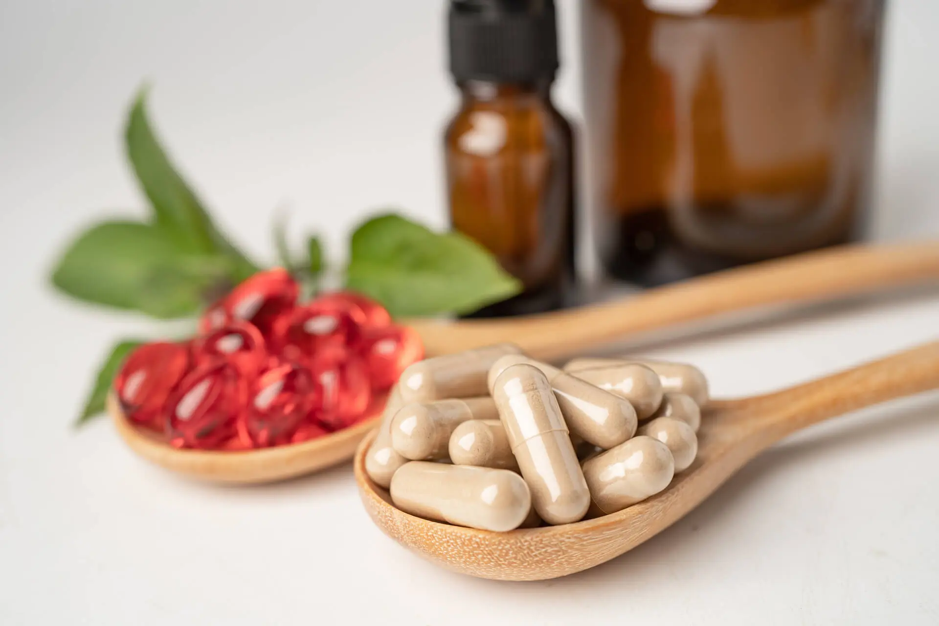 Бъбреци, пикочен мехур и полови органи