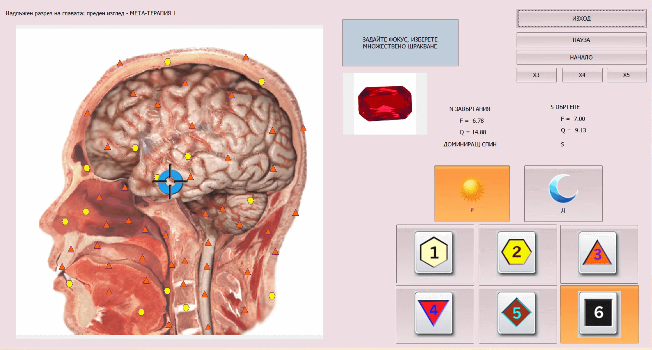 Надлъжен разрез на глава – визуализация с енергийни точки за мета-терапия на мозък и лицева област